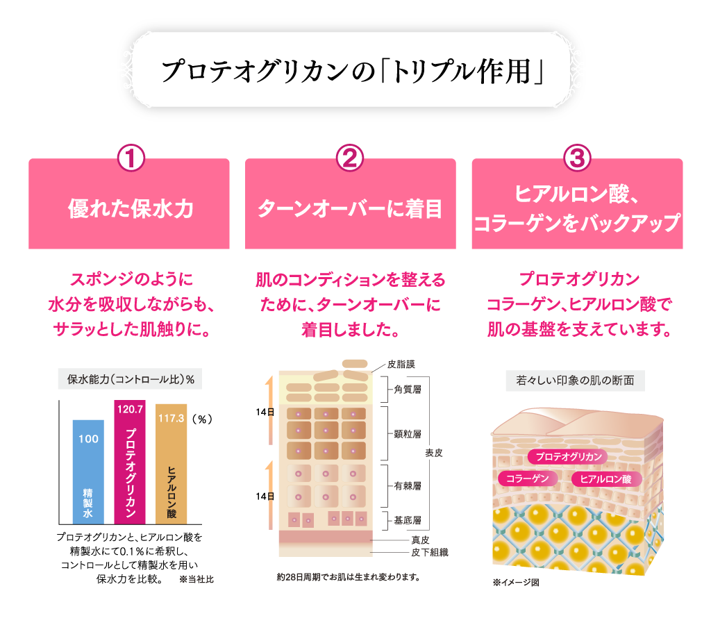 プロテオグリカンの「トリプル作用」 ①優れた保水力／スポンジのように水分を吸収しながらも、サラッとした肌触りに。 ②ターンオーバーに着目／細胞の生まれ変わりのサイクルを考え、肌を整えます。 ③ヒアルロン酸、コラーゲンをバックアップ／プロテオグリカンコラーゲン、ヒアルロン酸で肌の基盤を支えています。